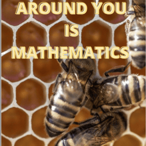 Inspirational Math Posters--Classroom Decor